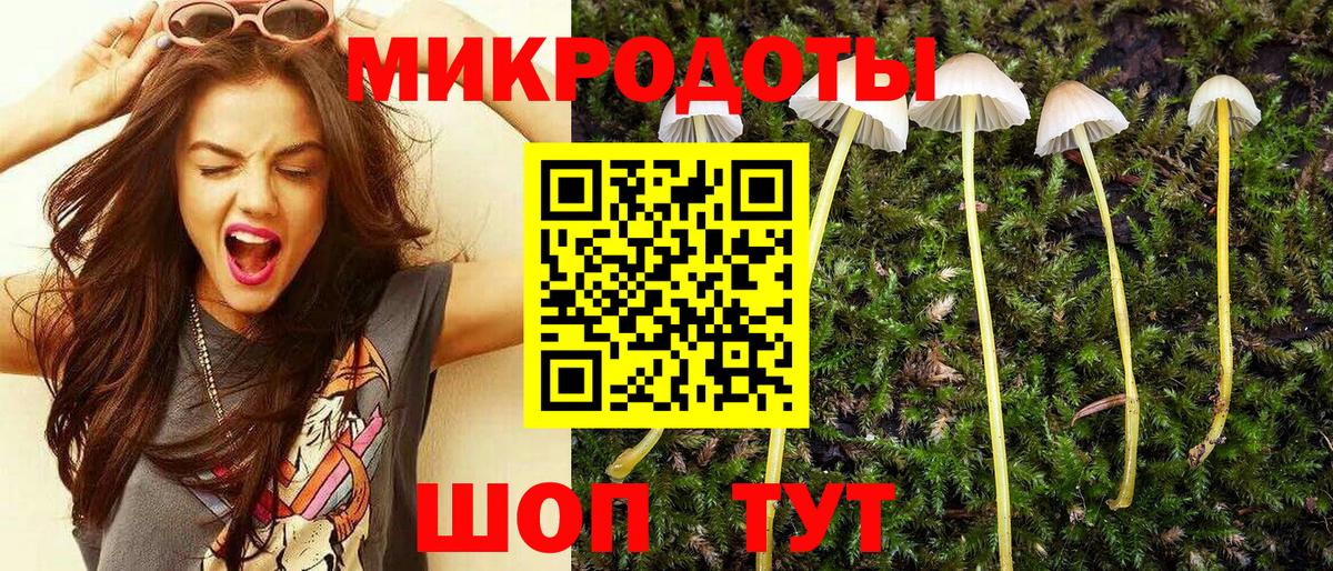 Галлюциногенные грибы прущие грибы Кириши
